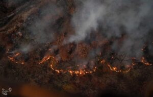 آخرین وضعیت آتش‌سوزی در جنگل‌های هیرکانی/زبانه آتش در توسکستان و کاظم‌خوجه