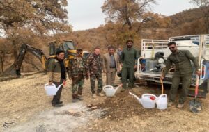 آغاز پویش کاشت نهال در کهگیلویه و بویراحمد+تصاویر
