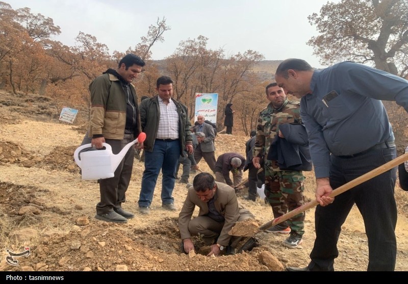 سازمان منابع طبیعی , اخبار استان کهگیلویه و بویراحمد , 