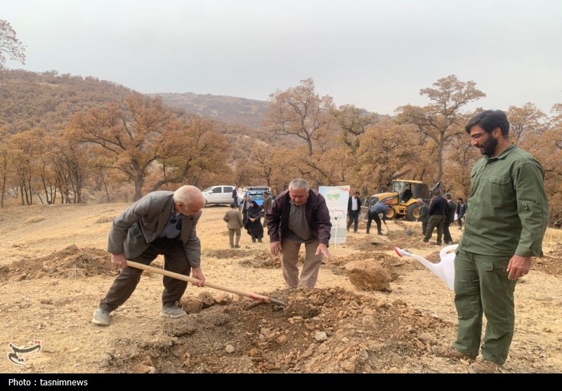 سازمان منابع طبیعی , اخبار استان کهگیلویه و بویراحمد , 