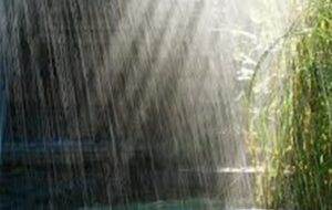 آماده‌باش کامل استان بوشهر در برابر سامانه بارشی هفته جاری