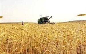 افزایش 136 درصدی اعتبارات سرمایه‌ای کشاورزی چهارمحال و بختیاری