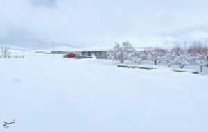 بارش بی‌سابقه برف در کهگیلویه و بویراحمد+تصاویر