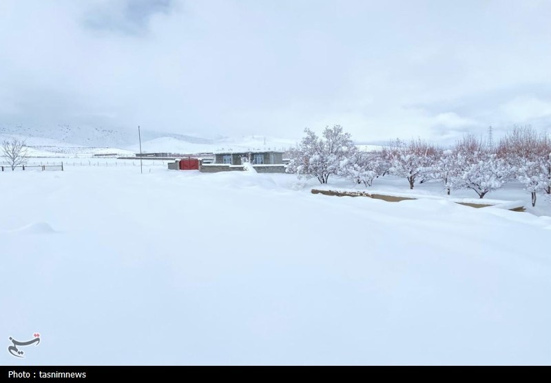 اخبار استان کهگیلویه و بویراحمد , 