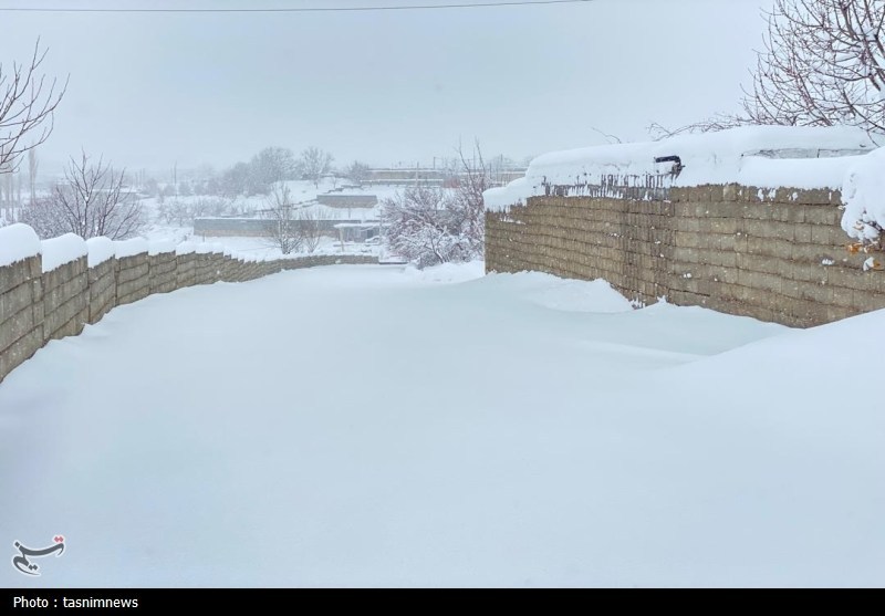 اخبار استان کهگیلویه و بویراحمد , 