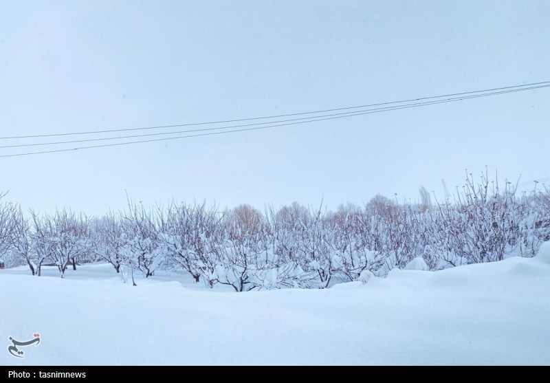 اخبار استان کهگیلویه و بویراحمد , 