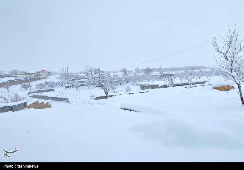 اخبار استان کهگیلویه و بویراحمد , 