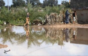 بارش‌های سنگین در جنوب استان کرمان؛ فاریاب با 86 میلی‌متر بیشترین بارندگی را ثبت کرد