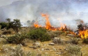 بحران در جنگل‌های ایران/ 46هزار ‌هکتار ‌اراضی ملی، مرتعی و جنگلی‌ در آتش سوخت