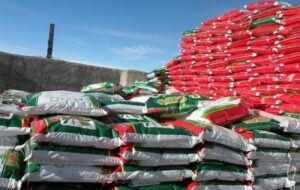 تأمین و توزیع بیش از 108 هزار تن کود یارانه‌ای در استان گلستان