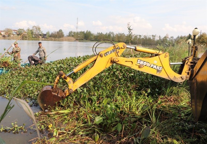 اخبار استان مازندران , اخبار ساری , نظام مسائل استان مازندران , نظام مسائل استان , 