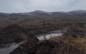 تاراج حیات در قرنقو؛ سکوت محیط‌زیست هشترود پای تابوت درختان گز