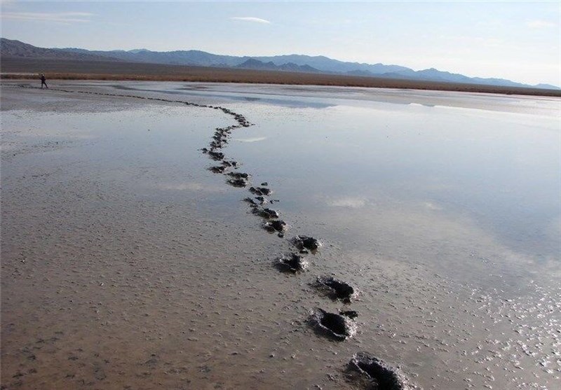 اخبار شهرستان نهبندان , اخبار استان خراسان جنوبی , 