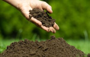 تحول در کشاورزی/ علل فرسایش خاک خراسان شمالی روی میز است