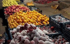 تشکیل 214 پرونده تخلف در طرح نظارتی بازار یلدای خراسان رضوی