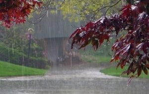 جان‌باختگان سیل خوزستان شناسایی شدند/جست‌وجو برای مفقودی ادامه دارد