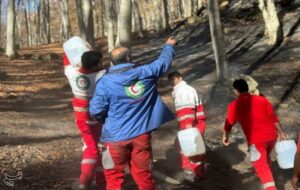 جوانه “پویش حفاظت از هیرکانی” از دل آتش/ زنگ خطر میراث میلیون ساله شمال ایران را دریابید!