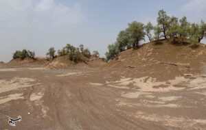 خاک؛ میراثی در خطر/ 28 کانون بحرانی فرسایش بادی در شمال استان کرمان