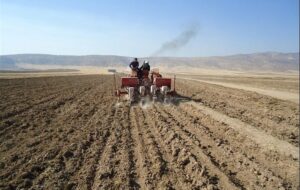 خشکسالی نفس کشاورزی خراسان شمالی را به شماره انداخت/ فشار اقلیمی بر کشاورزان!