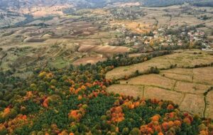 خلع‌ید 631 هکتار منابع طبیعی شمال/ 23 هزار هکتار از سواحل و تالاب‌ها سنددار شد