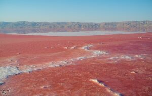 ساماندهی تالاب مهارلو با نگاهی همه‌جانبه صورت خواهد گرفت