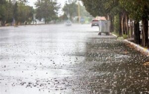 سیلاب‌های اخیر فارس/ جان پنج نفر گرفت و کشاورزی را ویران کرد