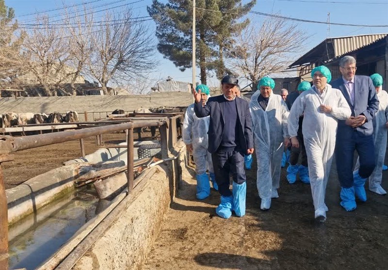 مهار تب برفکی با تزریق 8 میلیون دز واکسن/ فقط 930 رأس دام تلف شد اخبار اسلامشهر , تولید ملی , کمیسیون کشاورزی مجلس , ستاد توسعه اقتصاد دانشبنیان غذا و کشاورزی ,