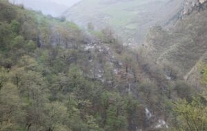 نابودی تدریجی جنگل‌های هیرکانی/ آتش‌سوزی‌ها بازماندگان عصر یخبندان را بلعیده‌اند