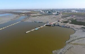 نفس‌های آخر تنها خلیج ایرانی خزر/ مساحت خلیج به 27هزار هکتار رسید/ ترک‌فعل‌ گسترده برای علاج‌بخشی