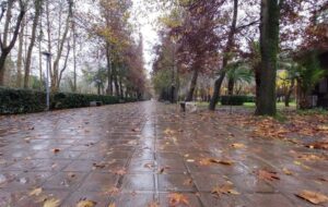 هشدار نارنجی در گیلان؛ بارش‌های شدید، سیلابی شدن رودخانه‌ها و یخبندان در راه است