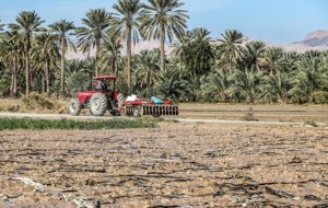 هشدار نارنجی هواشناسی کشاورزی در کرمان؛ کشاورزان تمهیدات پیشگیرانه را جدی بگیرند