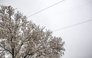 هشدار یخبندان در اصفهان؛ دمای هوا بین 5 تا 8 درجه کاهش می‌یابد