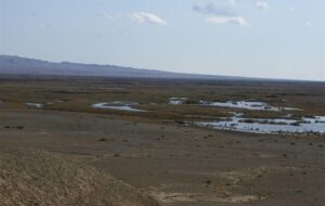 وضعیت نگران‌کننده تالاب بندعلیخان؛ 2 مصوبه رسمی دولت و استان هنوز وارد مرحله اجرا نشده است