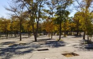 پایان سال‌ها بلاتکلیفی آرامستان دهخدا/ قفل مالکیت قبرستان شکست/ روایت تحول دهخدا