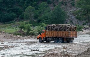 پشت صحنه قاچاق چوب در جنگل‌های هیرکانی/‌ نفوذ قاچاقچیان در لباس حفاظت!