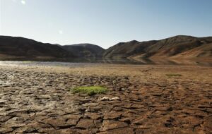 چرا باید آب رایگان باشد؟ / هشدار یک استاد دانشگاه درباره بحران خاموش کشاورزی