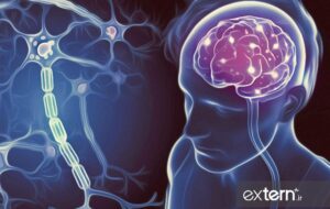 چرا پیشگیری از ام‌اس از مدرسه آغاز می‌شود؟ / لزوم تغییر اولویت‌ها از درمان به آموزش