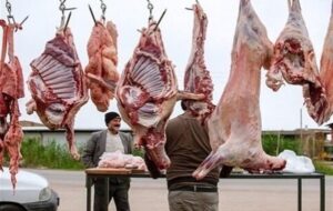 کرمانشاه در محاصره معضلات بهداشتی/ وقتی کشتار غیرمجاز دام سلامت مردم را تهدید می‌کند!