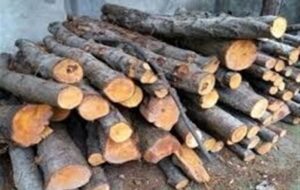 کشف 4 تن هیزم جنگلی در اردبیل