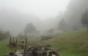 گردشگری پاییزی| ماجراجویی در قلب طبیعت بکر غرب ایران/ سفر به جغرافیای آرامش با چالش “مه”