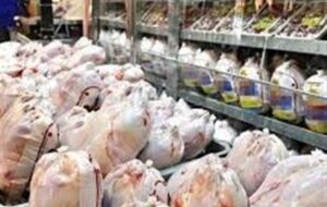 گزارش میدانی تسنیم|مرغ روی ریل گرانی؛ نظارت در ایستگاه غایب