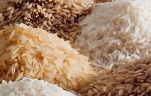 گفت‌وگو |توزیع 1800 تن برنج خارجی تنظیم بازاری در خراسان رضوی/برنج پاکستانی تا 2 هفته آینده