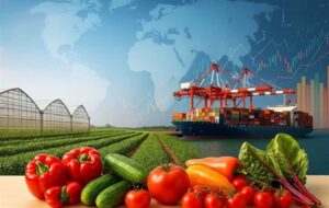 گفت‌وگو |صادرات محصولات گلخانه‌ای استان مرکزی به 16 میلیون دلار رسید