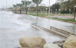 گناوه با 65 میلیمتر رکورددار بارندگی در استان بوشهر