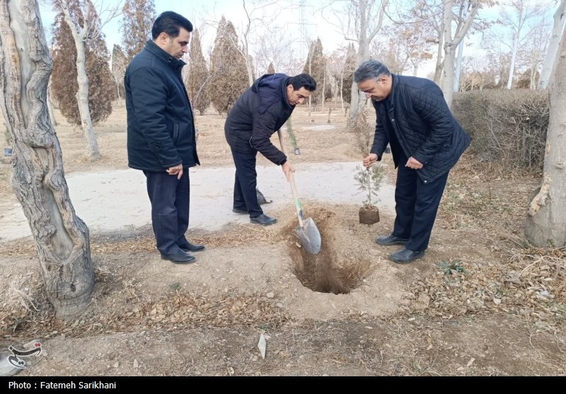 630 نهال به نیت شهید سلیمانی در اراک کاشته شد