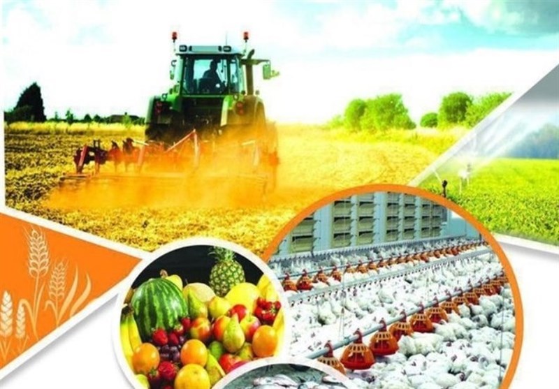 سازمان ملی استاندارد ایران , اخبار استان همدان , 