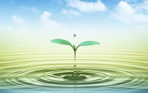 تمرکززدایی در مدیریت آب؛ راهکار کاهش وزن دولت در سیاستگذاری