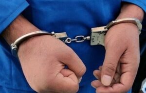 دستگیری آشوبگران مسلح در بهارستان