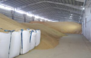 ذخیره 80 هزار تنی نهاده‌های دامی در بندر کاسپین