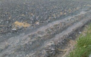 زمین‌های کشاورزی زیر سایه پلاستیک/کشاورزی تایباد در معرض بحران